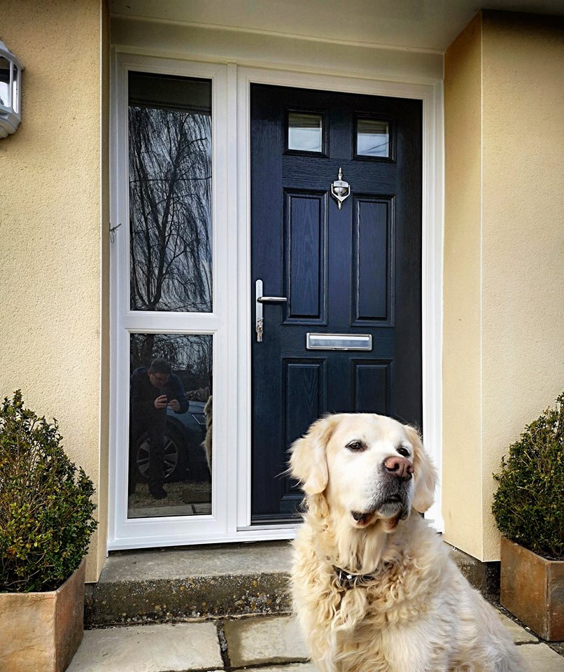 One happy dog, one gorgeous composite front door